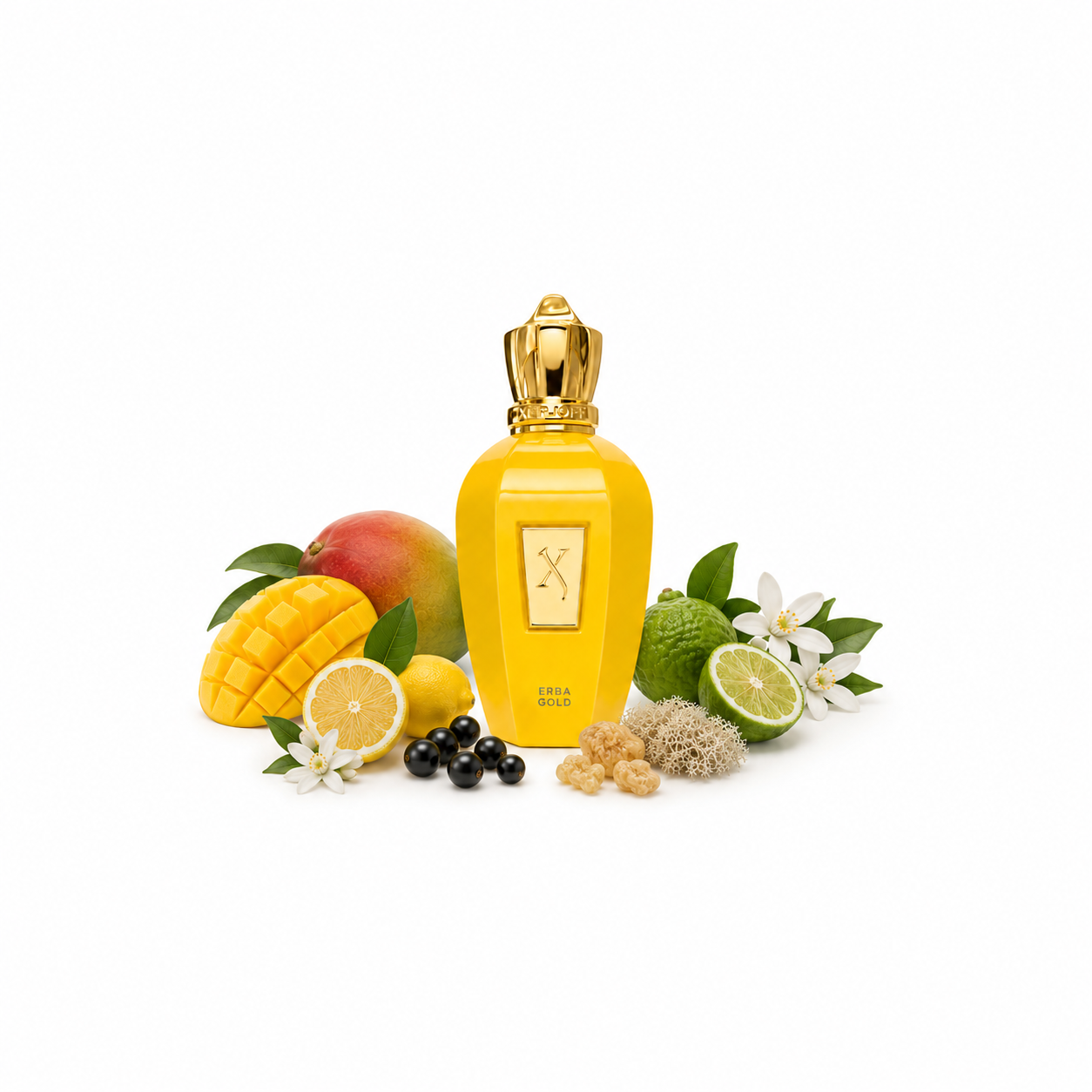 Xerjoff Erba Gold - Sealed